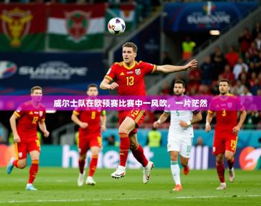 2026乐鱼体育app官网入口威尔士队在欧预赛比赛中一风吹，一片茫然