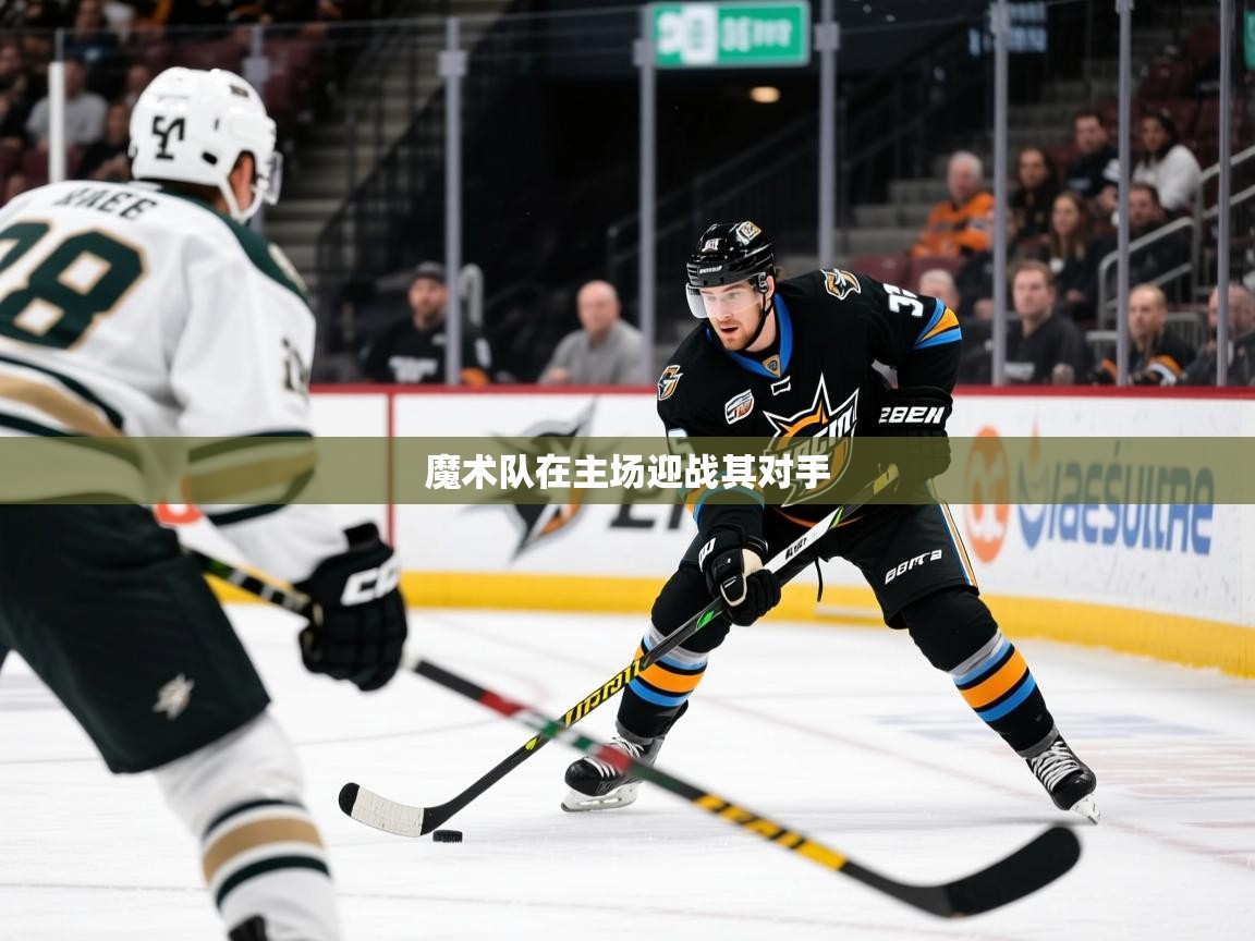 2025乐鱼体育app下载官网(中国)魔术队在主场迎战其对手  第2张