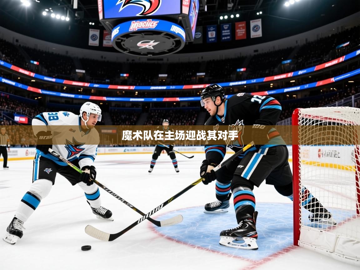 2025乐鱼体育app下载官网(中国)魔术队在主场迎战其对手  第4张
