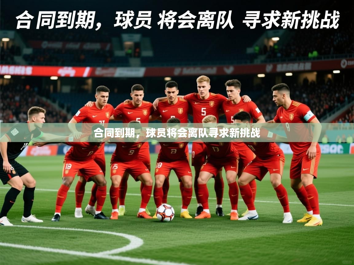 2026乐鱼体育在线登陆合同到期，球员将会离队寻求新挑战  第1张