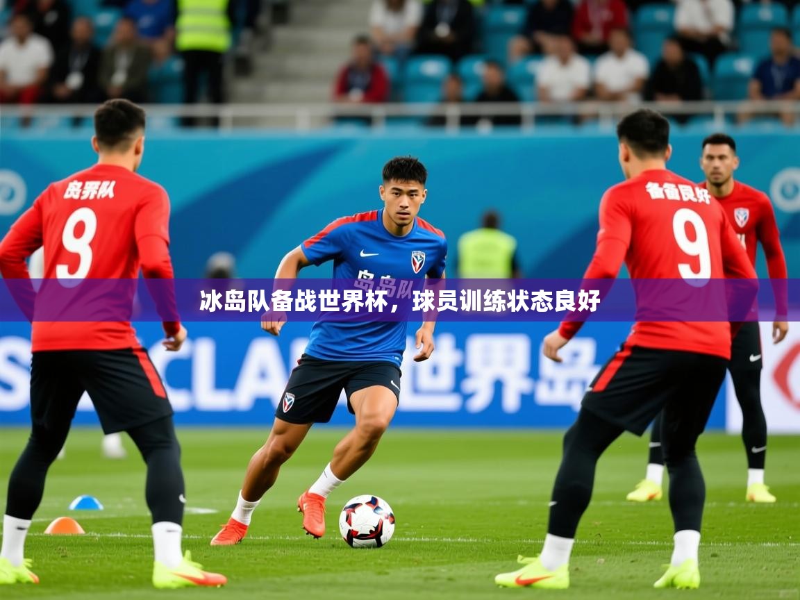 2026乐鱼体育冰岛队备战世界杯，球员训练状态良好  第2张