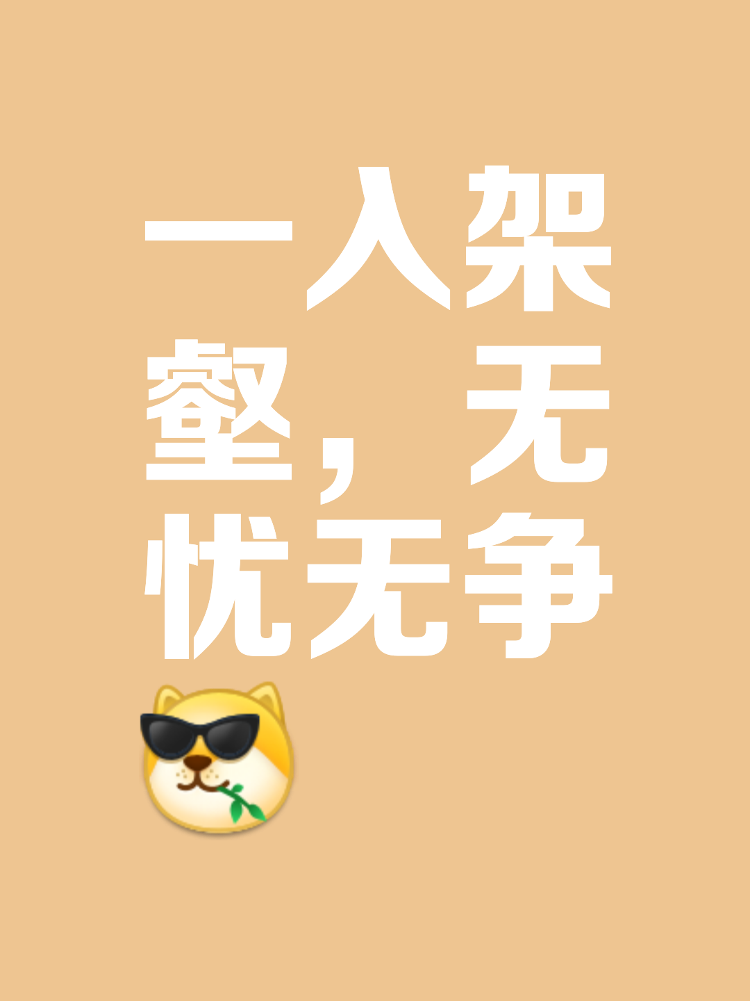 关于整装待发，攻守兼顾，矛盾纷呈，胜者即王的信息