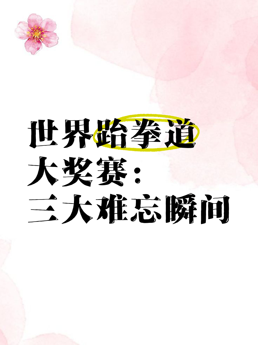 乐鱼体育官方登录网站-关于跆拳道比赛中的意外终结，引发激烈讨论的信息